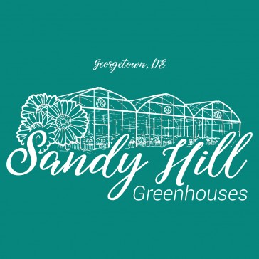 Sandy Hill